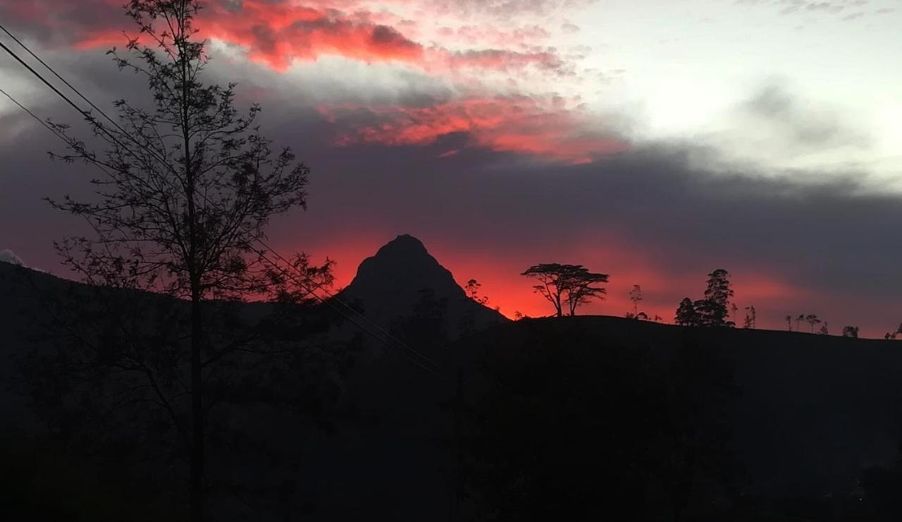 Ayos Hill Adam'S Peak Free Shuttle Hotel Nallathanniya Ngoại thất bức ảnh