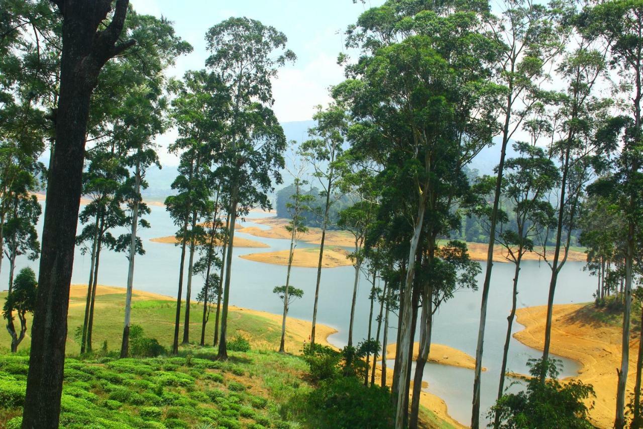 Ayos Hill Adam'S Peak Free Shuttle Hotel Nallathanniya Ngoại thất bức ảnh