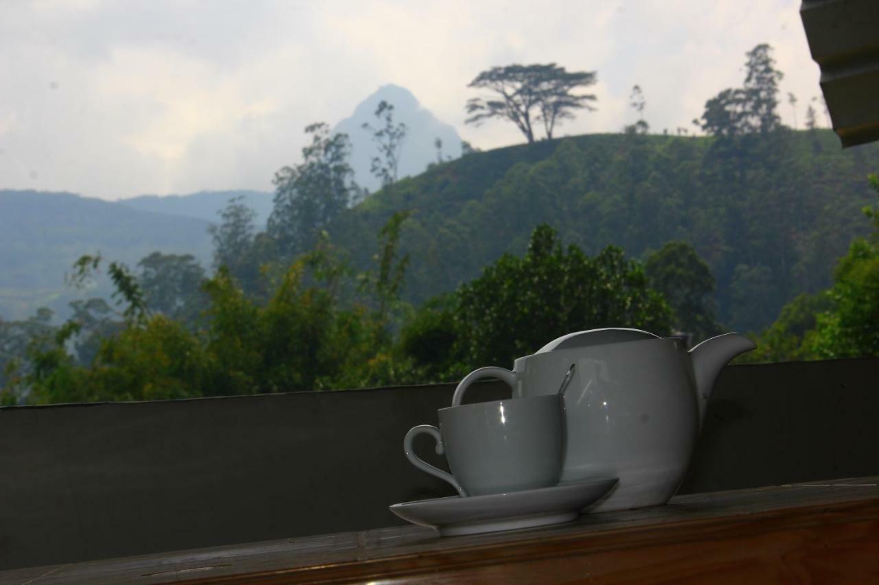 Ayos Hill Adam'S Peak Free Shuttle Hotel Nallathanniya Ngoại thất bức ảnh